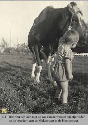 0374 In het land met de koe.

