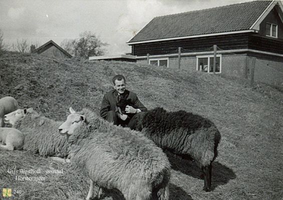 0240 Bij het Horstermeer gemaal.
