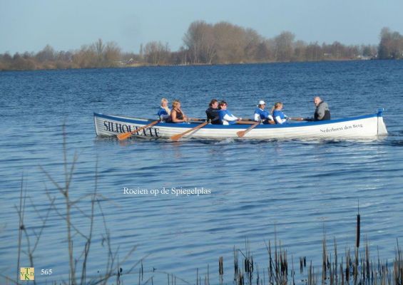 0565  Roeien op de plas.
