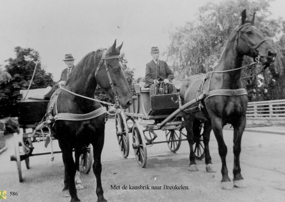 0586 Met de kaasbrik naar de markt 
