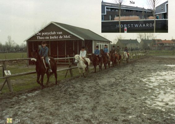 0724 Clubhuis voor pony's. 
Trefwoorden: Ponyclub