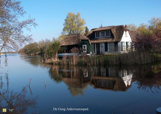 0747 De Goog
