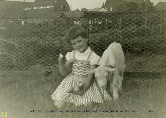 0663  Achter het oude stoomgemaal.
