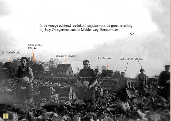 0921 Tussen de rodekool bij Zwagerman. 
 
