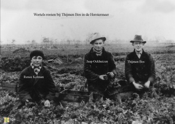 0929 Wortels rooien. 
