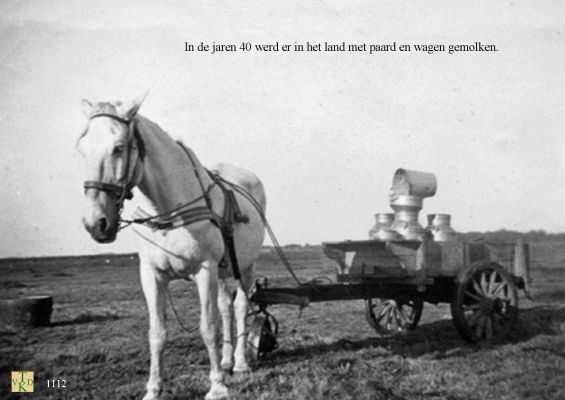 1112 Met paardenwagen melken. 
