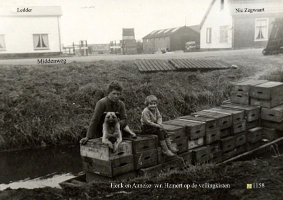 1158 Bij Van Hemert op de veilingkisten.
