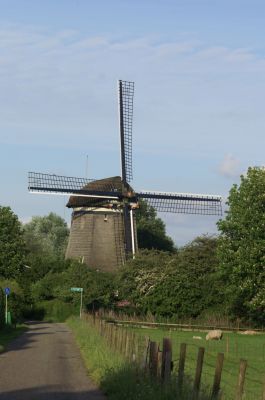 QR_009 Molen Ankeveensepad
Aan het Ankeveensepad staat een karakteristieke watermolen die in 1632 werd gebouwd. In 1932 raakte de molen buiten gebruik door de stichting van een elektrisch gemaal en al gauw sloeg het verval toe. Dankzij een grootscheepse akte in 1938 van de vereniging ‘Curtevenne’ te Kortenhoef kon de molen van de ondergang gered worden. Na de oorlog verkeerde de molen weer in een desolate staat en sloop dreigde. De heer Van Mesdag kocht echter de vervallen molen voor ƒ1,- en begon in 1956 met de restauratie. In goede staat is hij nog steeds een sieraad in het Bergse polderlandschap.N 52º 15.862’  O 5º 3.103’

Trefwoorden: QR