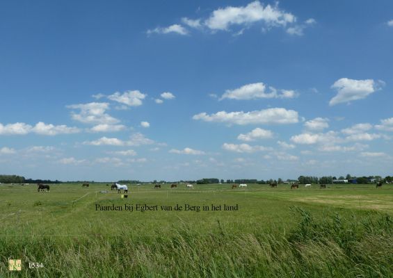 1534 Paarden in het land. 
