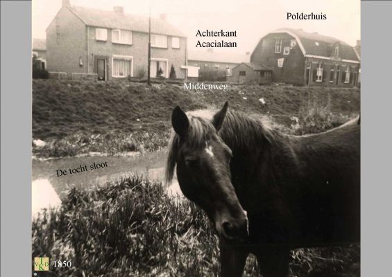 1849 Foto genomen vanaf de Meerlaan 
