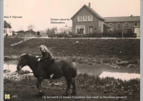 1851 Foto vanaf de Meerlaan
     
