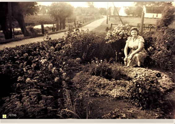 0796_In_de_voortuin.
