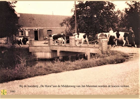 0985_Bij_de_boerderij_de_Horst.

