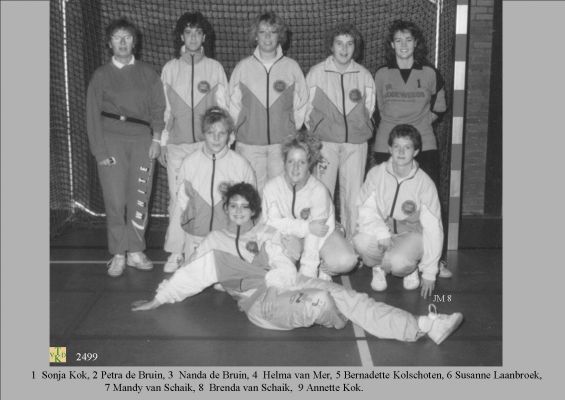 2499 
 Handbal.
