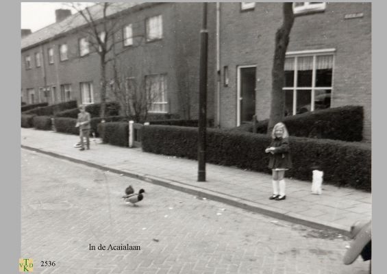 2536 
 Spelende kinderen

