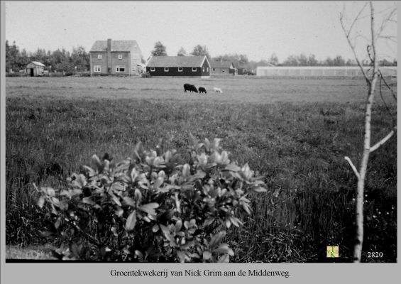 2820 
Groente kwekerij.
