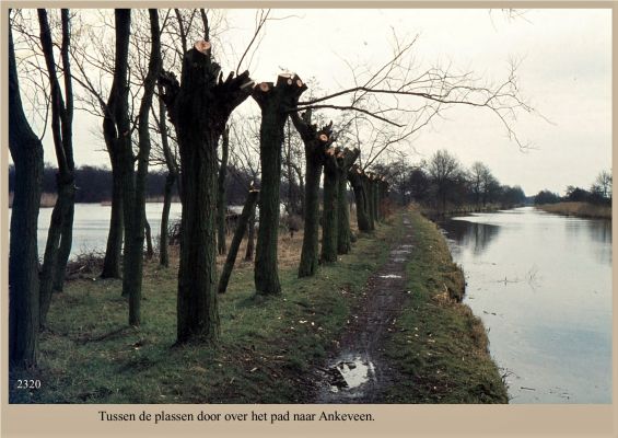 2320_Over_het_pad_naar_Ankeveen.
