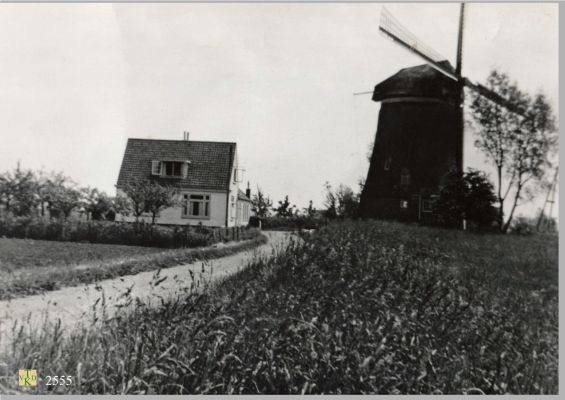 2555_Woning_met_molen.
