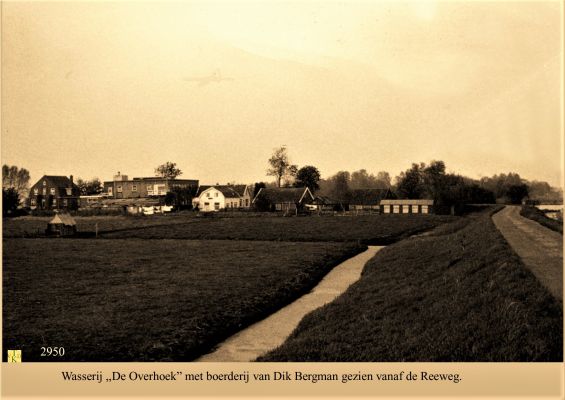2950
Wasserij_en_Bergman
