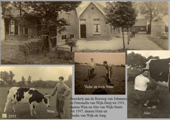 2955
_Boerderij_Van_J_en_W__van_Wijk
