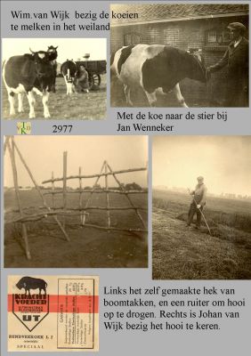 2977 
 Bij van Wijk in het land.
