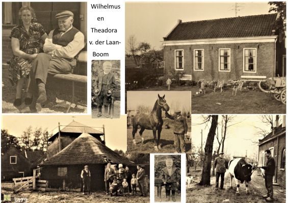 2989 
 Op de Boerderij.
