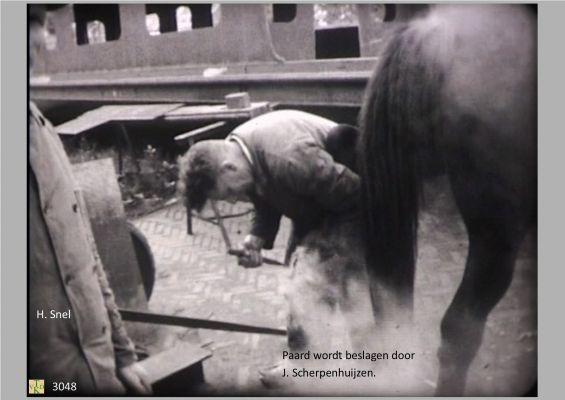3048
Paard_bij_de_hoefsmit
