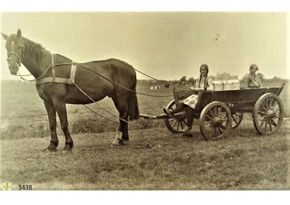 3438
Melken_met_paardenwagen.
