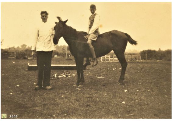 3449
Op_het_paard_achter_de_woning_
