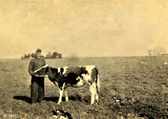 3601
In_de_Prutpolder.
