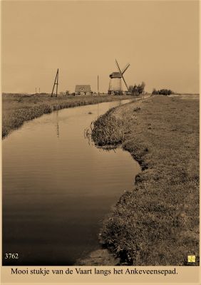 3762_
Langs_het_Ankeveense pad
