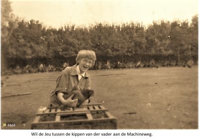 4464
Kippen_de_Jeu_Machinweg.
