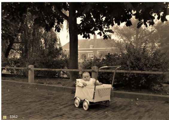 3362
Vergeten_of_klaar_gezet_voor_foto
