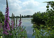 Bestandsnaam=0083__Vanaf_het_Bergsepad__naar_de_Horstermeer.jpg
Bestandsgrootte=458KiB
Afmetingen = 1754x1240
Datum toegevoegd = 04-12-2019 0083__Vanaf_het_Bergsepad__naar_de_Horstermeer.jpg