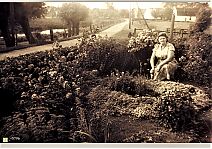 0796_In_de_voortuin.jpg
