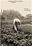 Bestandsnaam=1088__aardbeien_plukken_in_tuindorp.jpg
Bestandsgrootte=367KiB
Afmetingen = 1240x1754
Datum toegevoegd = 15-11-2019 1088__aardbeien_plukken_in_tuindorp.jpg
