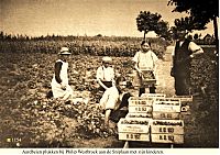 Bestandsnaam=1154__aardbeien_plukken_sniplaan.jpg
Bestandsgrootte=533KiB
Afmetingen = 1754x1240
Datum toegevoegd = 12-09-2021 1154__aardbeien_plukken_sniplaan.jpg