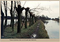 Bestandsnaam=2320_Over_het_pad_naar_Ankeveen.jpg
Bestandsgrootte=535KiB
Afmetingen = 1754x1240
Datum toegevoegd = 05-01-2020 2320_Over_het_pad_naar_Ankeveen.jpg