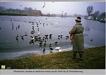 Bestandsnaam=2857_Vogels_voeren_Vreelandseweg.jpg
Bestandsgrootte=294KiB
Afmetingen = 1754x1240
Datum toegevoegd = 01-04-2017 2857_Vogels_voeren_Vreelandseweg.jpg