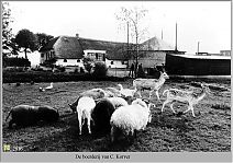 Bestandsnaam=2916_Boerderij_Korver.jpg
Bestandsgrootte=266KiB
Afmetingen = 1754x1240
Datum toegevoegd = 28-04-2017 2916_Boerderij_Korver.jpg