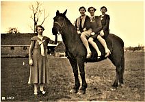 Bestandsnaam=3002_Boerderij_Den_Bak.jpg
Bestandsgrootte=394KiB
Afmetingen = 1754x1240
Datum toegevoegd = 15-01-2020 3002_Boerderij_Den_Bak.jpg