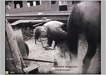 Bestandsnaam=3048_Paard_bij_de_hoefsmit.jpg
Bestandsgrootte=247KiB
Afmetingen = 1754x1240
Datum toegevoegd = 18-06-2017 3048_Paard_bij_de_hoefsmit.jpg