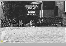 Bestandsnaam=3133_Dieren_pension_Dwarsweg.jpg
Bestandsgrootte=374KiB
Afmetingen = 1754x1240
Datum toegevoegd = 12-09-2017 3133_Dieren_pension_Dwarsweg.jpg