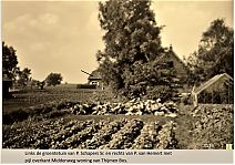 Bestandsnaam=3139x_Groente_tuinen.jpg
Bestandsgrootte=358KiB
Afmetingen = 1754x1240
Datum toegevoegd = 18-01-2020 3139x_Groente_tuinen.jpg
