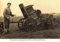 Bestandsnaam=328_wim_v__wijk_mest_uitrijden_reeweg.jpg
Bestandsgrootte=409KiB
Afmetingen = 1754x1240
Datum toegevoegd = 21-09-2021 328_wim_v__wijk_mest_uitrijden_reeweg.jpg