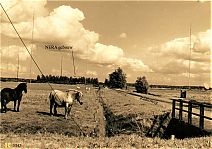 Bestandsnaam=3342__Paarden_bij__NERA_gebouw_Horstermeer.jpg
Bestandsgrootte=429KiB
Afmetingen = 1754x1240
Datum toegevoegd = 26-01-2020 3342__Paarden_bij__NERA_gebouw_Horstermeer.jpg