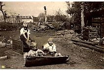 Bestandsnaam=3393_Bij.jpg
Bestandsgrootte=400KiB
Afmetingen = 1754x1240
Datum toegevoegd = 13-03-2019 3393_Bij.jpg