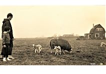 Bestandsnaam=3599_In_de_prutpolder_bij_Bornhijm.jpg
Bestandsgrootte=254KiB
Afmetingen = 1754x1240
Datum toegevoegd = 10-03-2020 3599_In_de_prutpolder_bij_Bornhijm.jpg