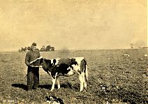 Bestandsnaam=3601_In_de_Prutpolder.jpg
Bestandsgrootte=437KiB
Afmetingen = 1754x1240
Datum toegevoegd = 10-03-2020 3601_In_de_Prutpolder.jpg