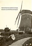 3935_Bloemen_bij_de_molen.jpg